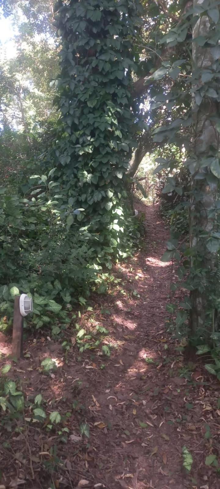 Casa Cafe - Aconchego Na Floresta - Rota Do Vinho Sao Roque (Sao Paulo)